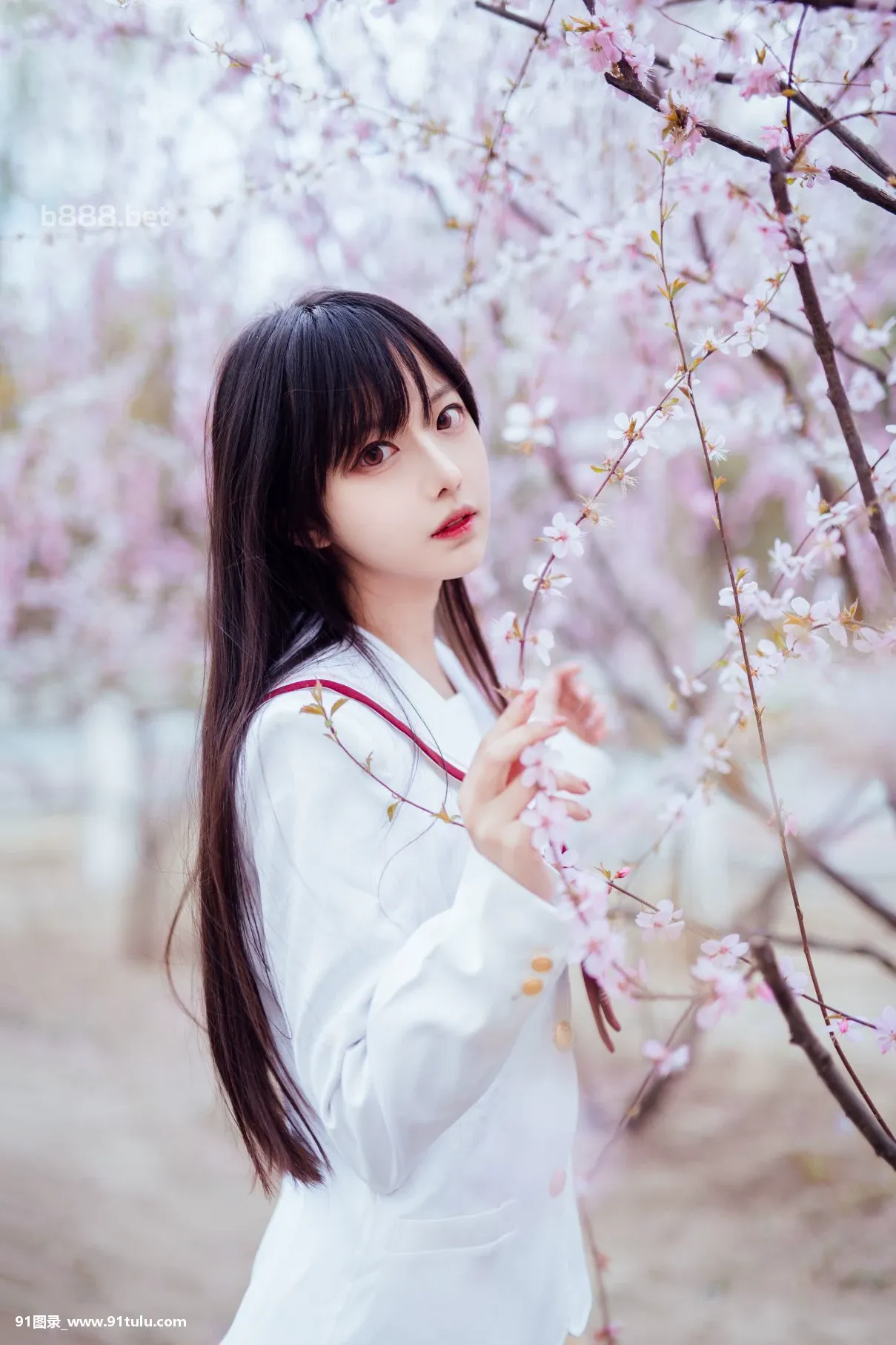 Shika小鹿鹿-樱花-[10P]Shika,10P,樱花,小鹿