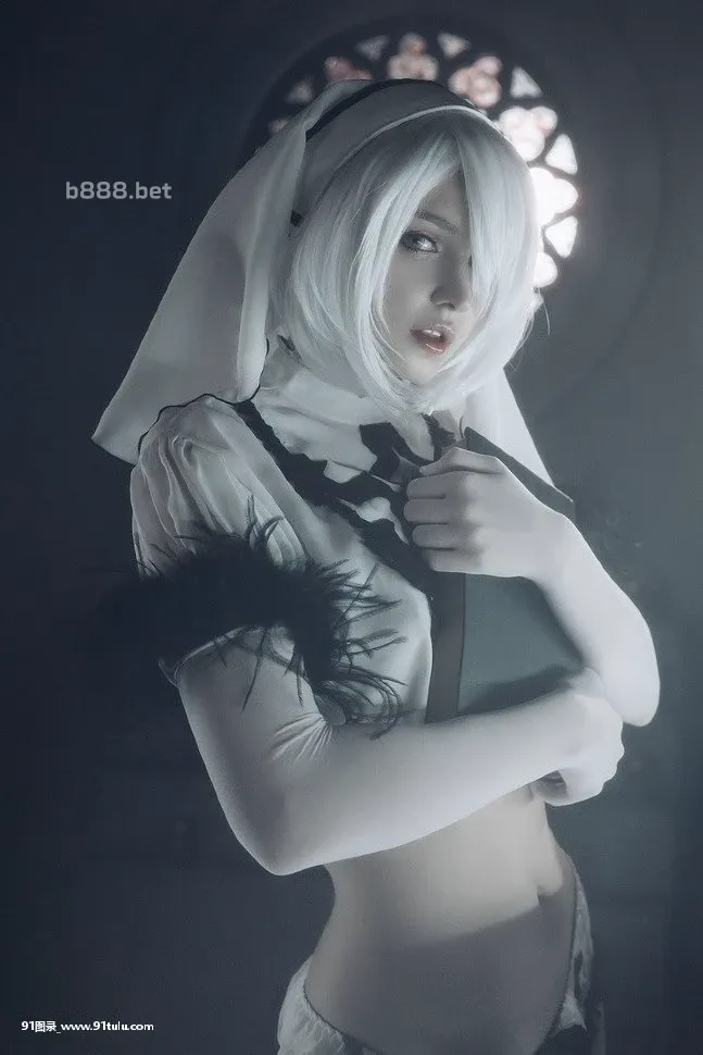 2B-NieR-Automata-[20P]2B,NieR,Automata,20P