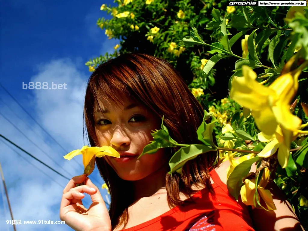 Graphis-Photo---Asuka-Sawaguchi-[250P]Graphis,Photo,Asuka,Sawaguchi,250P